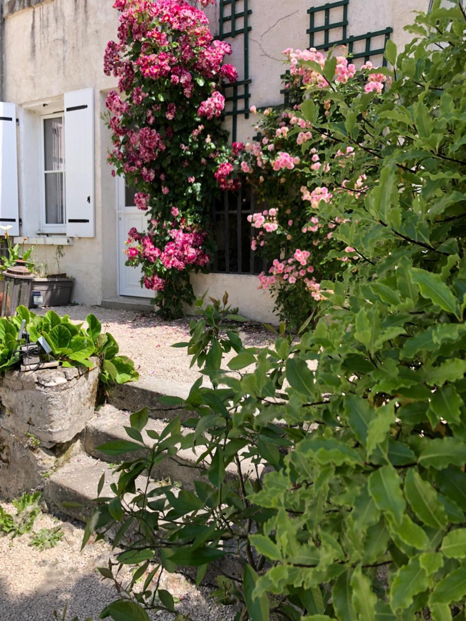 Les Troglos De La Tufoliere Acomodação com café da manhã Rochecorbon Exterior foto